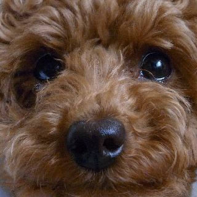 8d2a6580 67aa 4749 820c 5ae11ffd13c1 1774674964224