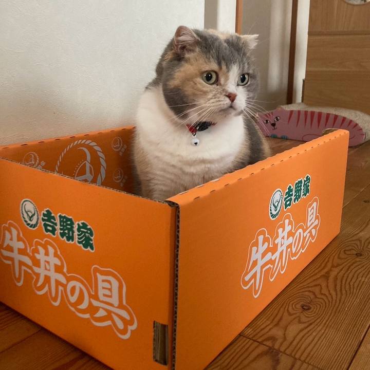 8d2a8a52 a98a 435f 92da ab1284ba73c0 1711447254903