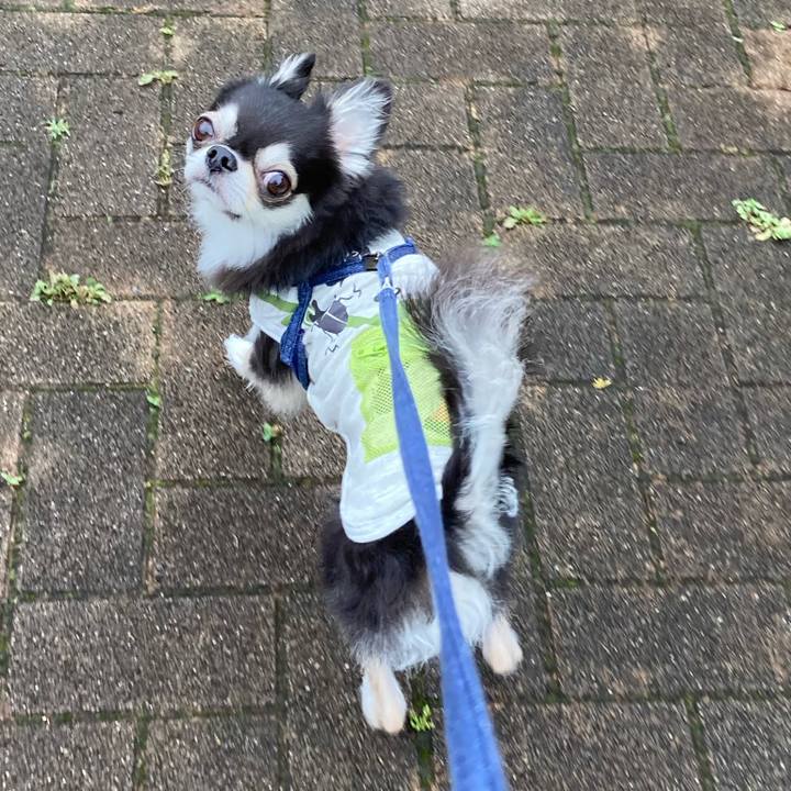 8d2a8cda 3533 4a43 9b8f a6c63088bc41 1684596814558