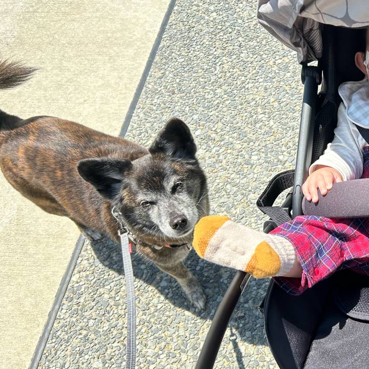 8d2aca84 3ffd 4467 b5d6 aa0c288e6d3c 1717020132139