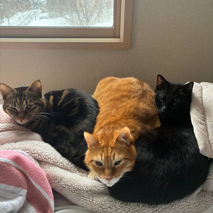 8d2acab6 97c1 4307 a681 76ce86fcb936 1773053679040