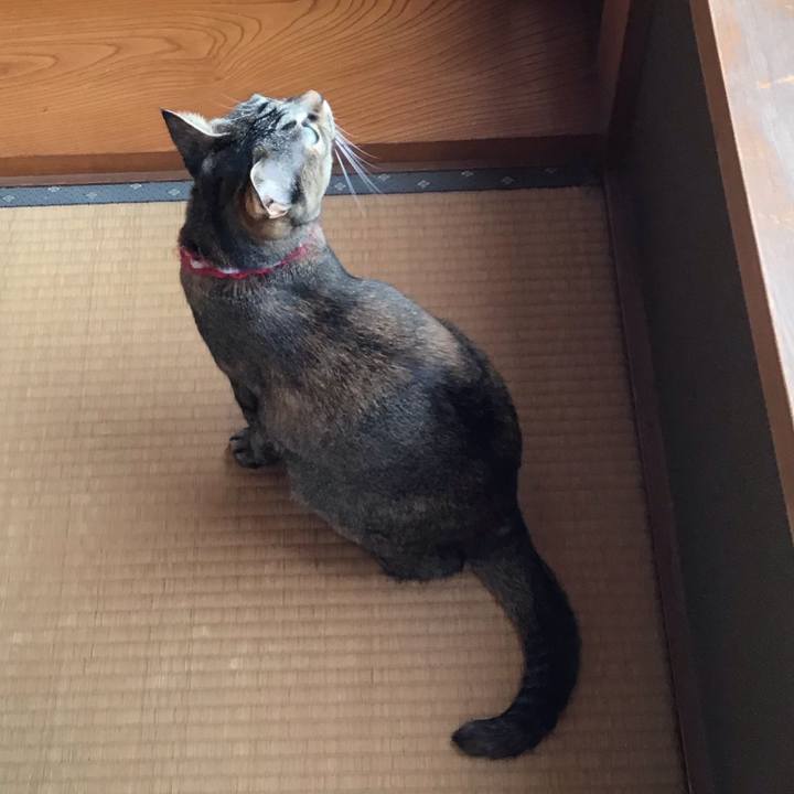 8d2af399 f7ce 4813 b336 49e40db0e501 1607557335949