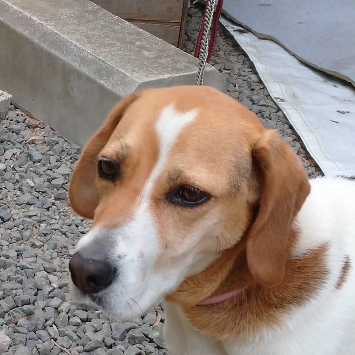 8d2af52c 8eab 4ed8 bb58 dee4fddb817b 1591685617834