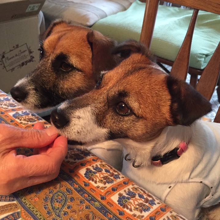 8d2b33e4 73ad 4512 b1b0 eaee1a771eea 1526183813319