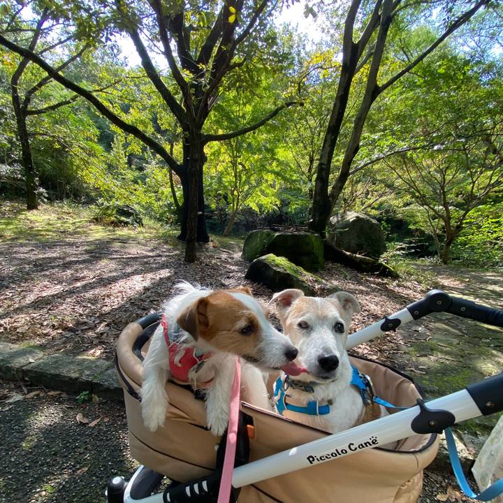 8d2b63d3 2209 494e a51b 696185b549c4 1697340321741