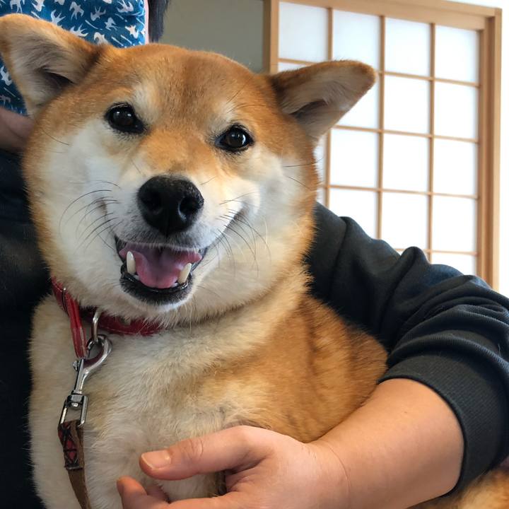 8d2b879c d5a4 4d57 b2a8 ec3f24a3e50d 1588129242148