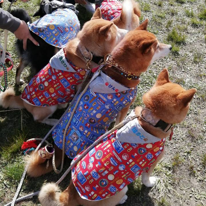 8d2bb942 e4bd 4b8c 921e 16e88f2f28b5 1682479165960