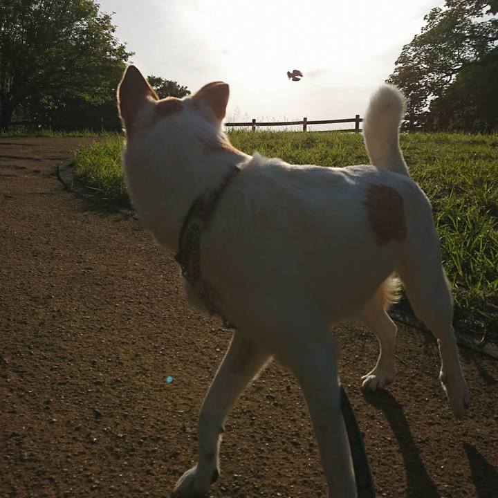 8d2be597 5ee3 465b a2a6 552037c9ab0f 1525988283030