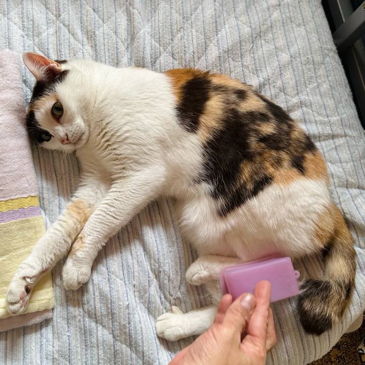 8d2bf5df 2920 4b2e 887f 80dc22fce67d 1689124320377