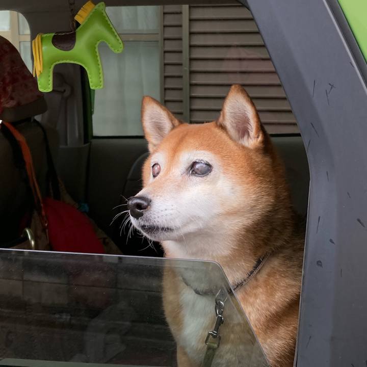 8d2c0024 a34e 42c1 b87e 13f15e05f742 1668914590286