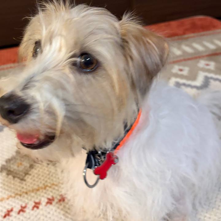 8d2c1a27 789f 4b63 9158 74ee3bc9320c 1765102371870