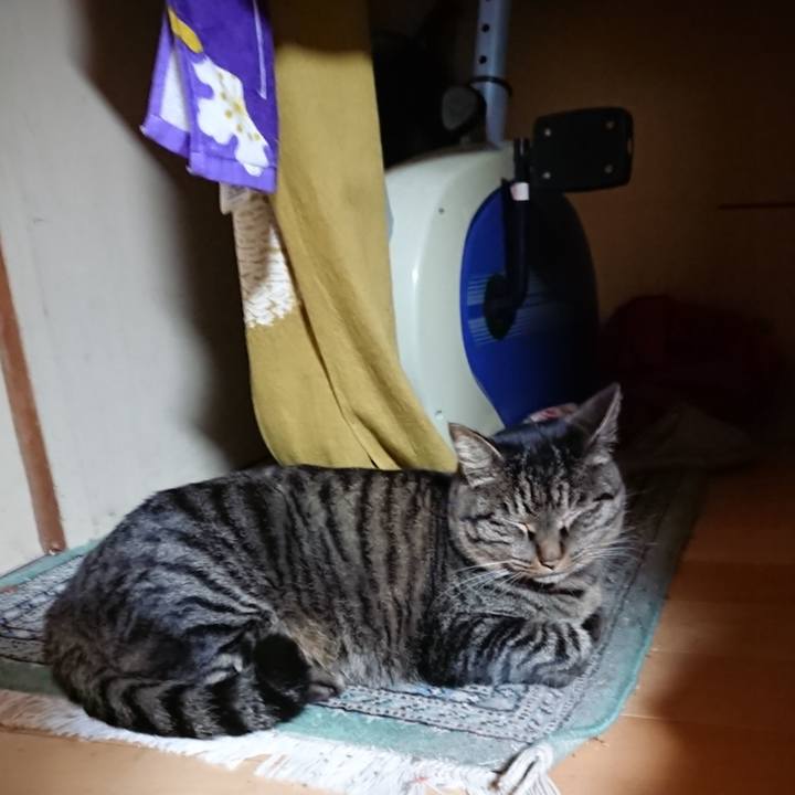 8d2c27e3 b16a 43ac 807f 4ba83fd2ee59 1641381209974