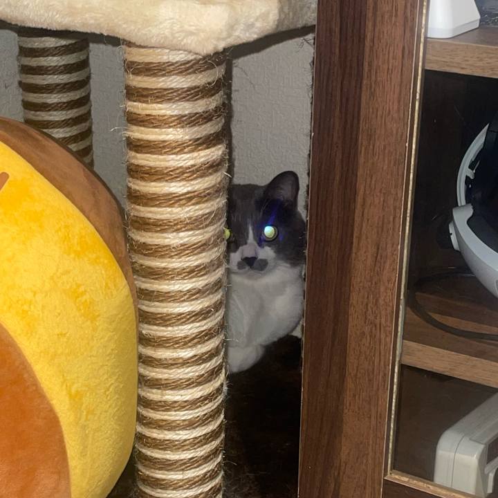 8d2c313a 7016 492c b4d7 9fc1ac5f3d31 1692437291863