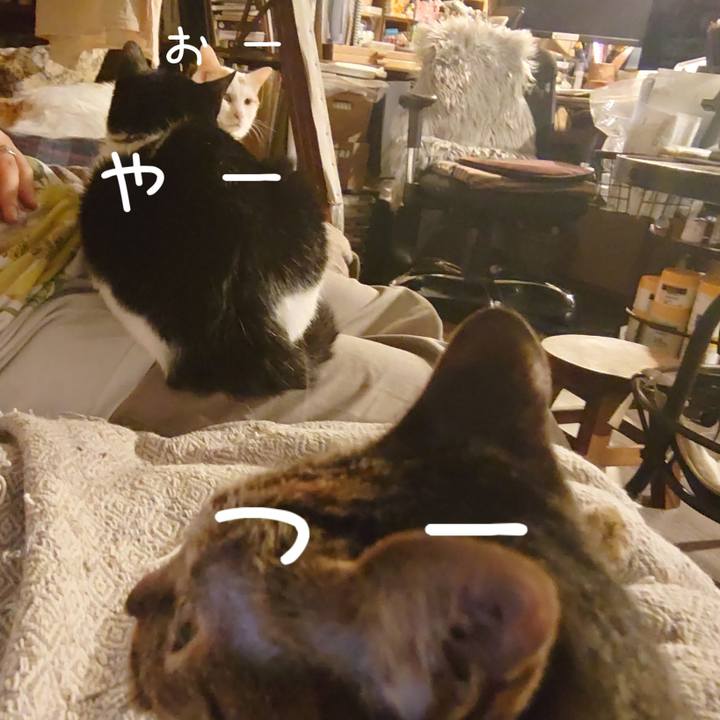 8d2c3e6d 8047 4f41 b382 54dba132c877 1624193060651