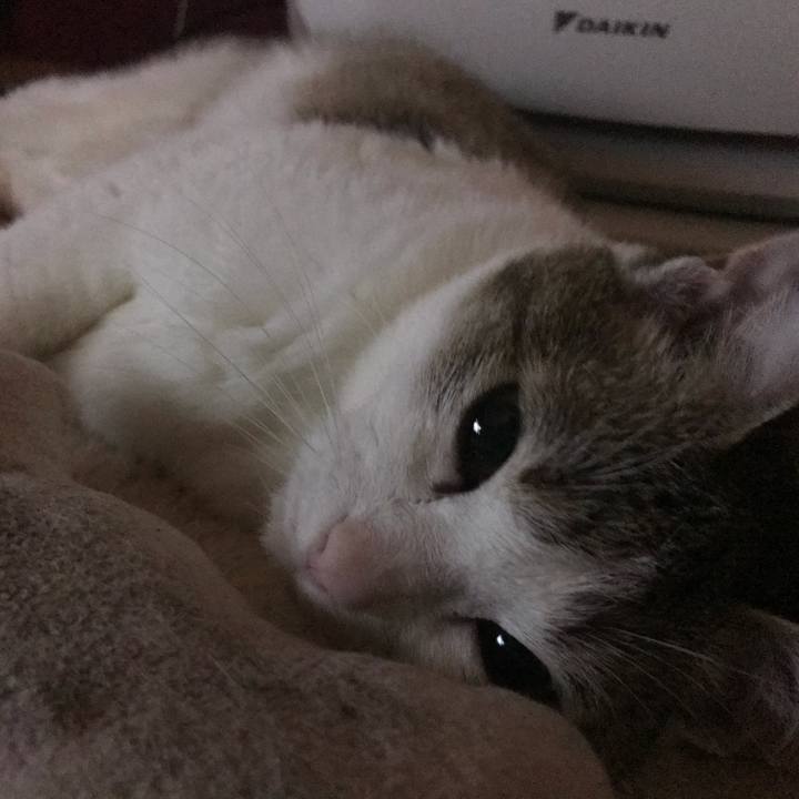 8d2c3f19 6a21 4f66 9f09 a15ec03cfc98 1625745055208