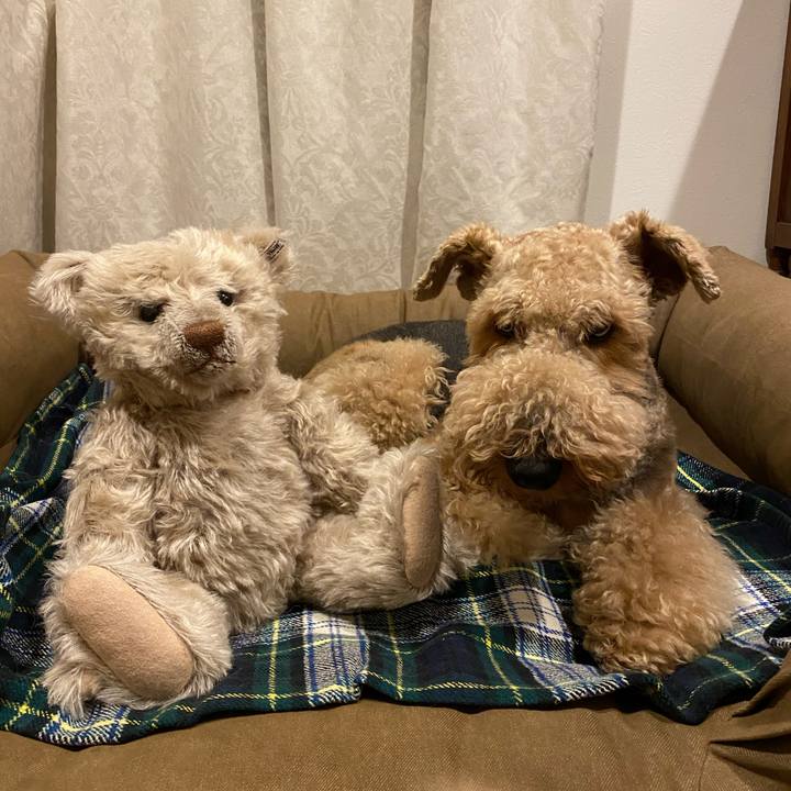 8d2c59bd 235f 46e9 bd73 0c8ab56089a1 1603792097842