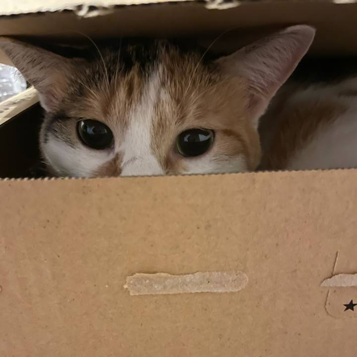 8d2c8461 37e7 44da a27b 72aaca9b0a78 1631442637514