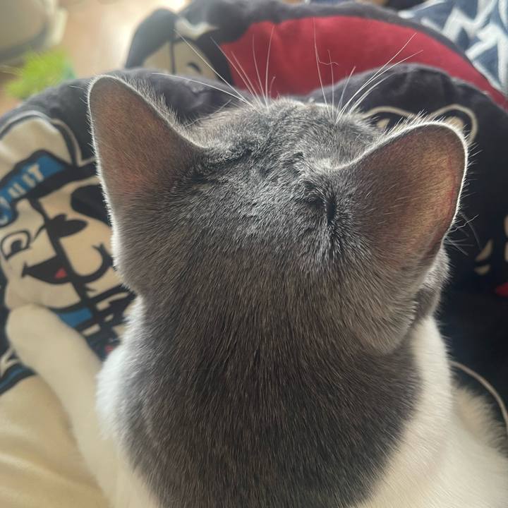 8d2c8be7 44ca 4540 91a2 77b01e11ef65 1727656712423