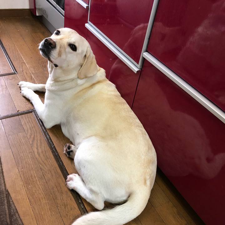 8d2c9326 1696 457a 9772 2fb01b45471a 1571270866274