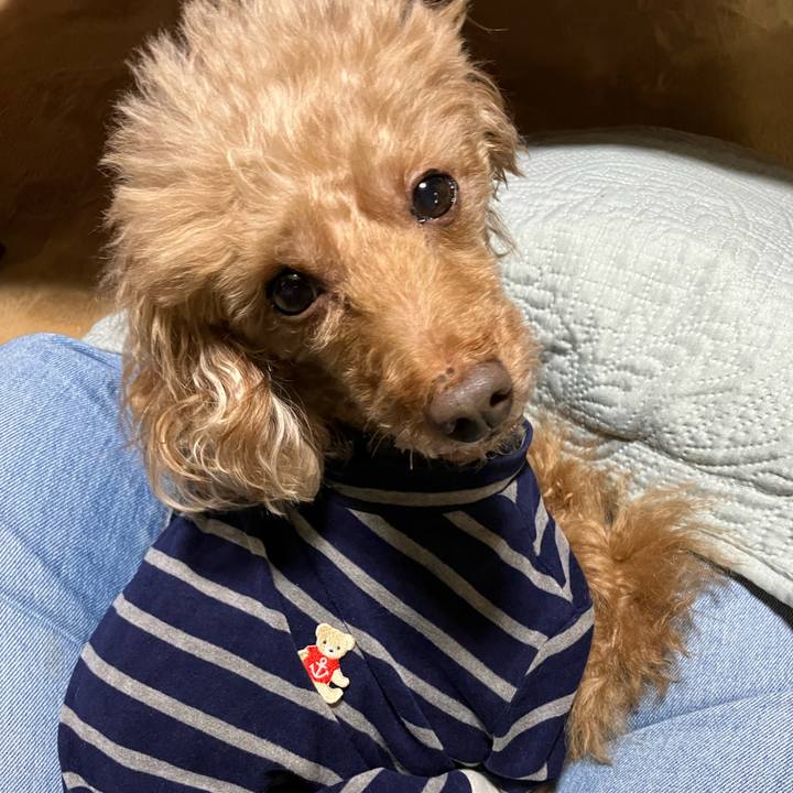 8d2ca7ad 42bd 4a6b 9428 b1dc029d2c9b 1707878955726