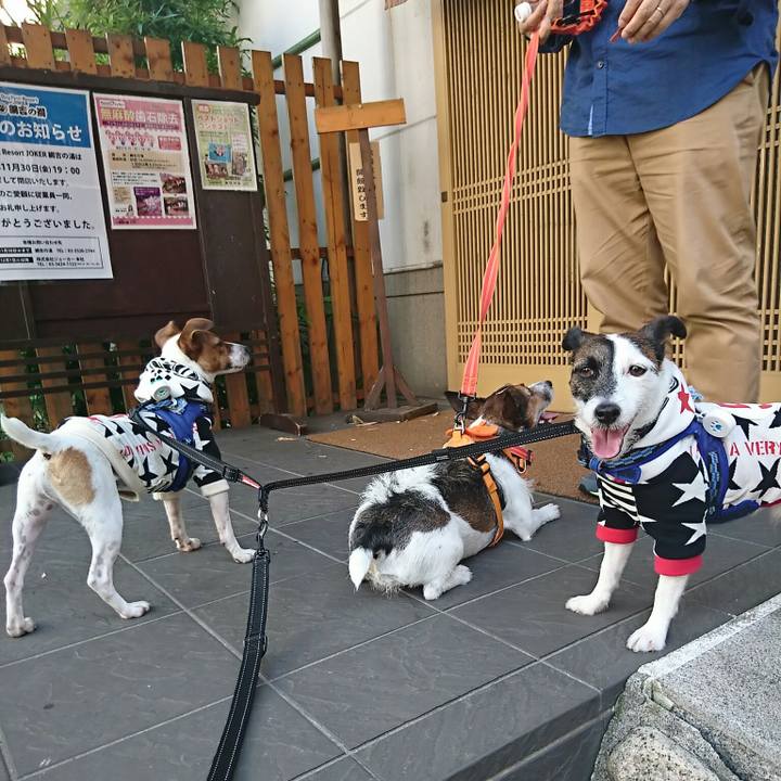 8d2caa60 7b6c 4b0d 9e6d 72bec3859f30 1540717023936