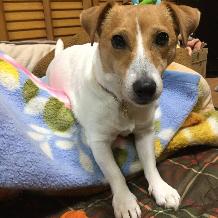 8d2cb44d c84a 43b1 81bf e4fadf1dfaea 1550995736753