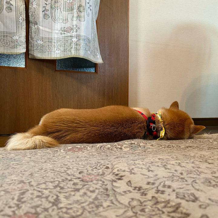 8d2cca01 fcab 4da9 94b2 dcd091ae3930 1751451945555