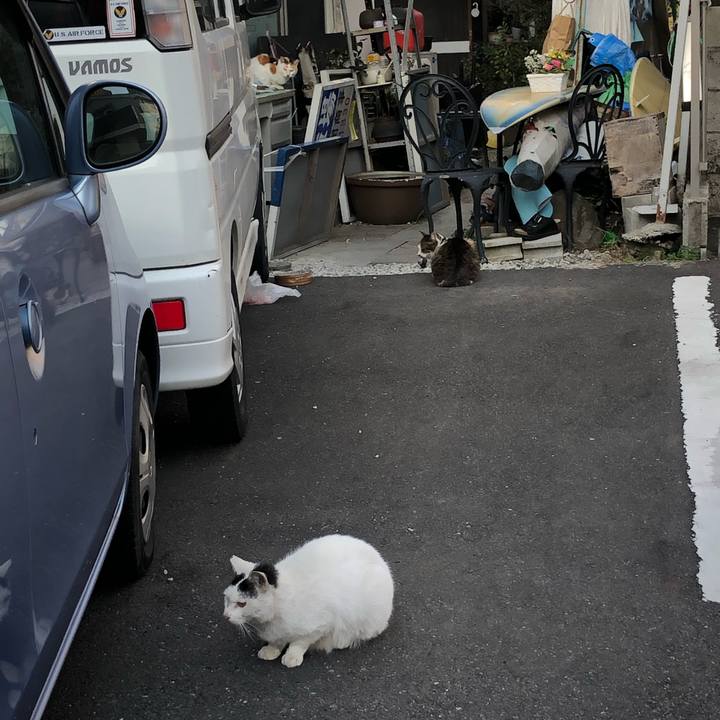 8d2ceac8 c93b 4d4f a157 2f1ac95c6f5c 1646733217108