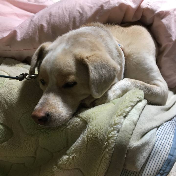 8d2cf715 01b4 4b15 b554 9987e82d7eaa 1515509720788