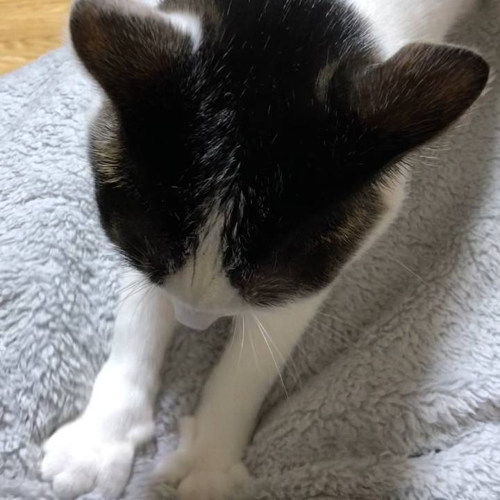 8d2cfd50 33b4 4bc9 9fd3 21378bf24d7b 1696159468711