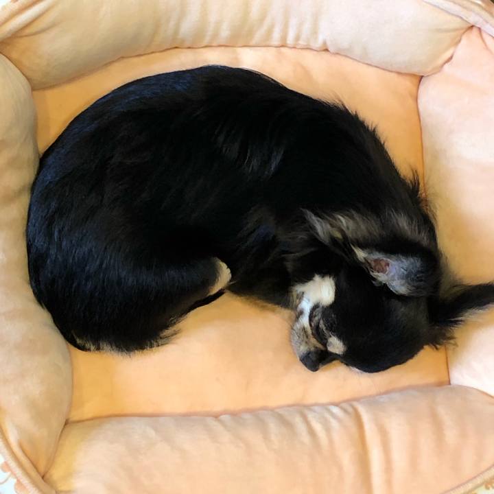 8d2d0638 1259 4b09 a492 cc5f88a34042 1550625401385