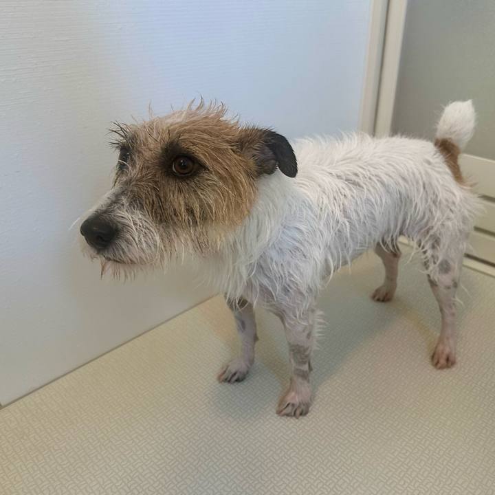 8d2d24d0 12cd 4a81 9678 d63a24784c3a 1740441614393