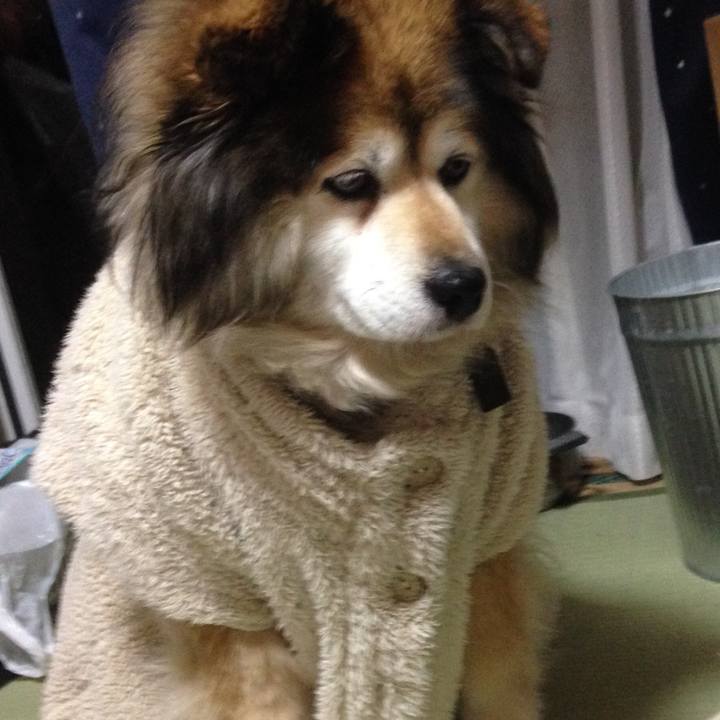 8d2d5335 0b5f 465a a8df bfd0fbe43155 1552644632023