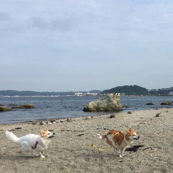 8d2d5f87 07fe 44bc 84d9 87ebdb5ae019 1511874391395