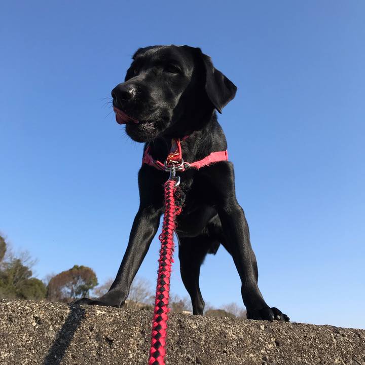 8d2d7406 c8fd 4467 b68f f3390d957e0d 1549087080522