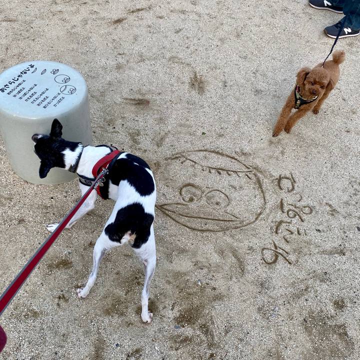 8d2d99d9 2756 4cb6 bce3 27220141e06f 1603547867249