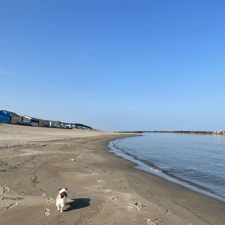 8d2da5ed 12d5 478c 9fb7 c8f0b9cd7761 1617318528361