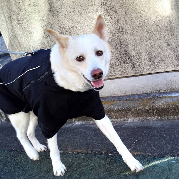 8d2dbf9b 37e4 40d8 a602 028b1e3f423f 1642767582015