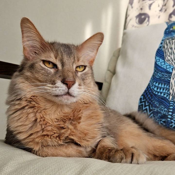 8d2dd776 f6e1 4df1 937b 52ed82e5305f 1716734120091