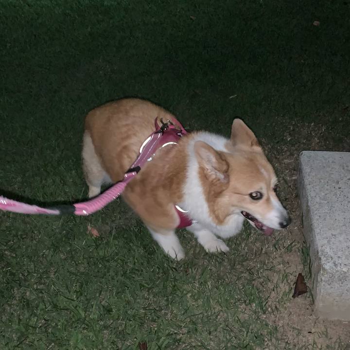 8d2de1d0 669d 4542 85a3 0559aec9c1a9 1725532154049