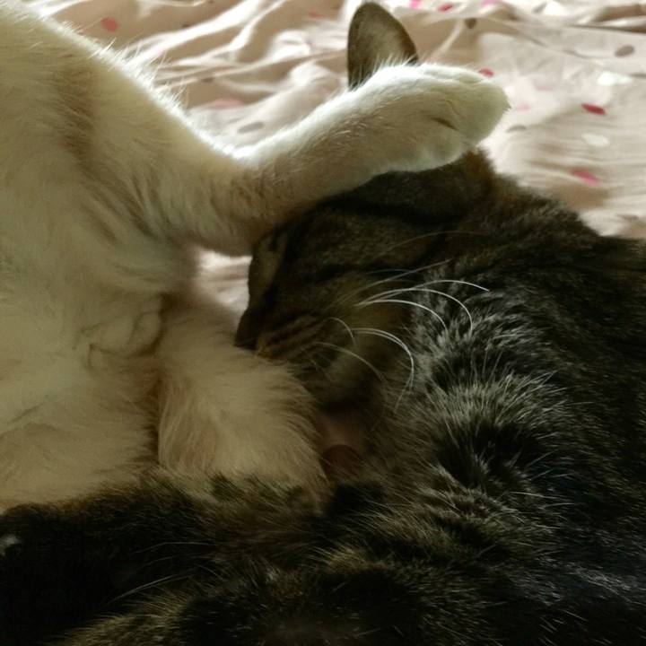 8d2e17ff 790c 4a2d a4a9 2a7ea0098fb7 1535169594125