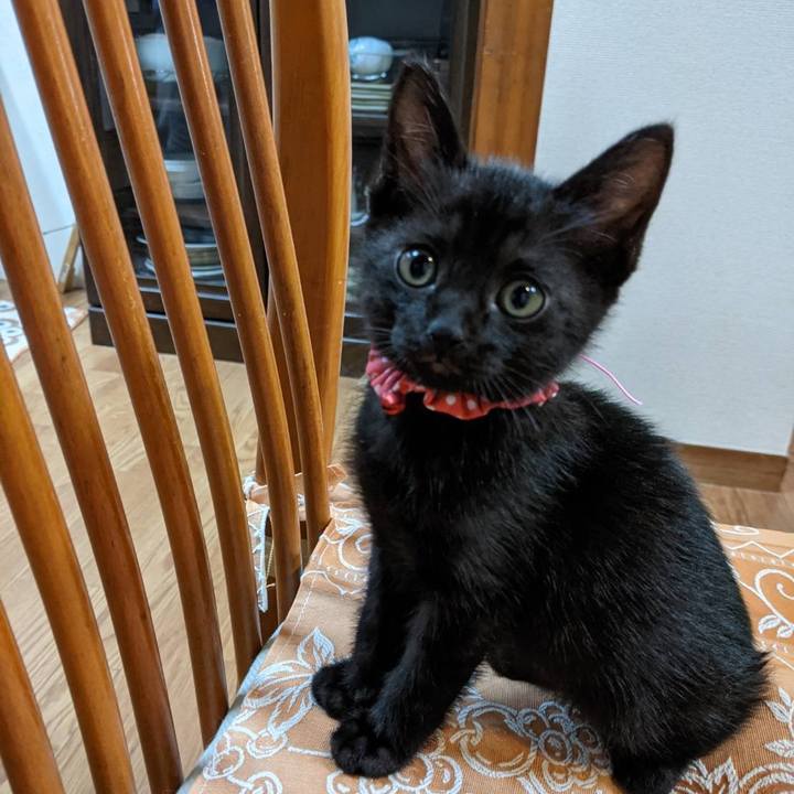 8d2e19d3 fdee 4830 992d a7773a6838d8 1634478966482