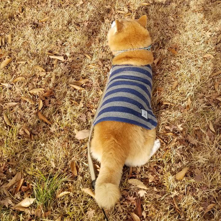 8d2e1d0d 244e 47a2 a9ab 9a9d5e56126d 1702786455912