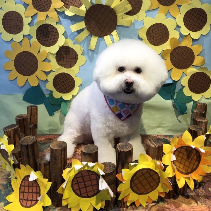 8d2e28b1 3343 4a3a a0a1 3eed8faf6585 1630557197155