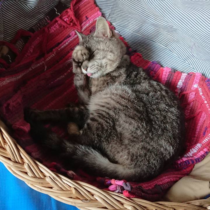 8d2e3f6b b11d 41e4 98d0 403828991e3b 1558233970866