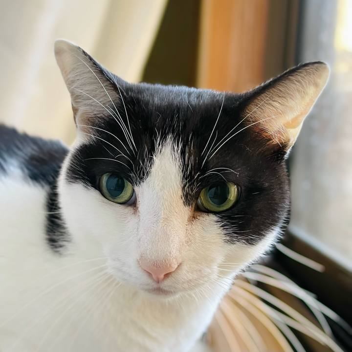 8d2e8fa9 a977 4841 8a59 9ea6966c7ada 1637981206242