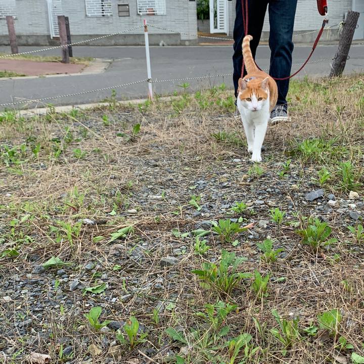 8d2e9568 675a 40c1 a73a 2190075b25b4 1593939384213