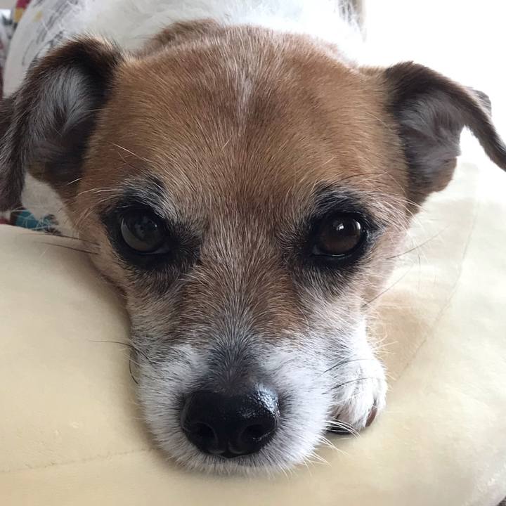 8d2e976d 9b95 42f7 a7bc f4be3dbc2491 1546124860363