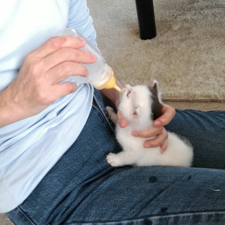 8d2ec137 bd35 4305 b3b9 ef8980251792 1664854559891