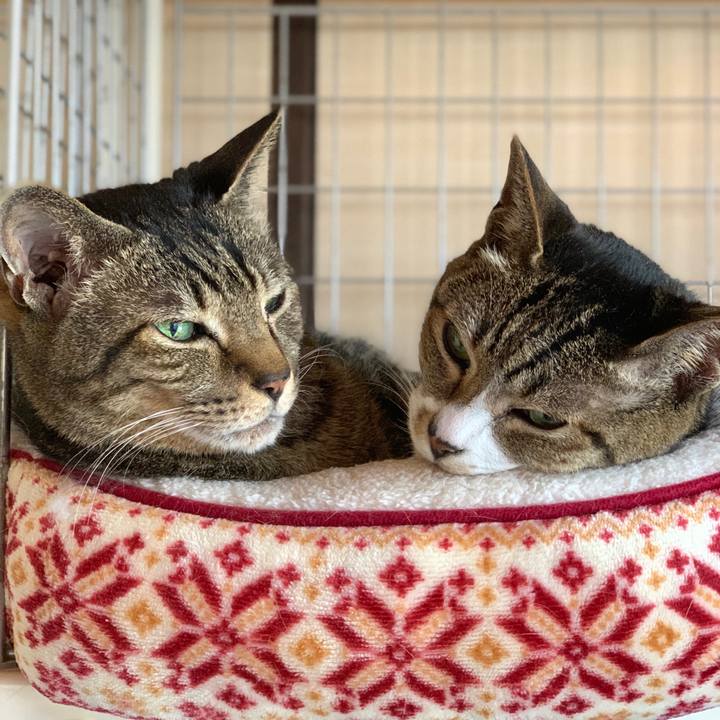 8d2efd99 1630 4e22 9a5b 376ad2afb085 1589418042524